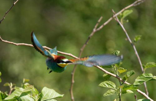 Ferienwohung zum Wasserfall - Foto 2