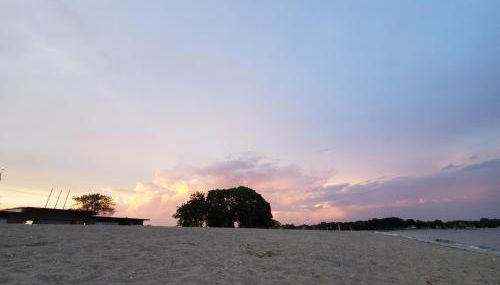 Sunshine Room by harbor downtown beach I-95&Train - Foto 4