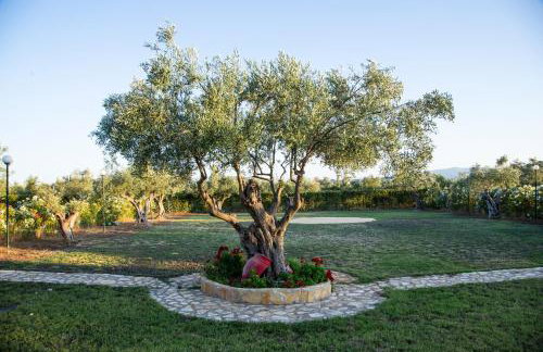 Agroktima Elia - Foto 60