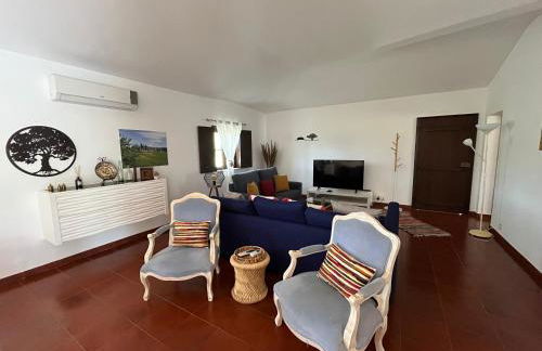 Quinta do Faisco - Photo 12