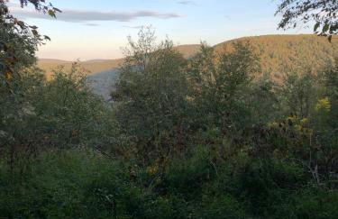 Blue Knob Bear Den (Nordic Center/Golf Course) - Foto 17