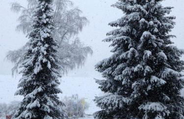 Ferienwohnung Am Kräutergarten - mit Pool, Sauna und Garage - Foto 26