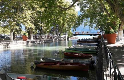 Appart Cosy Centre Ville Annecy - Foto 28