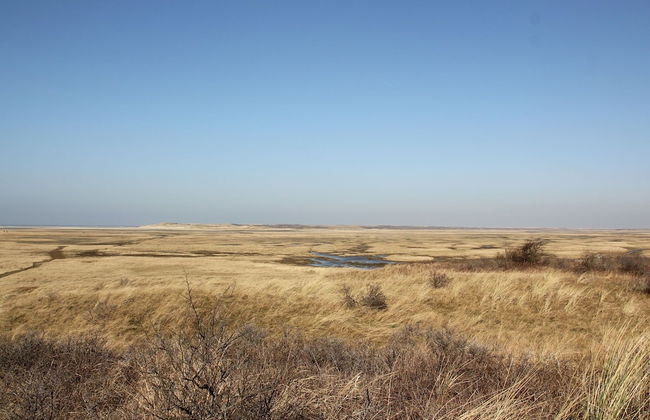 Bungalow in Texel Near De Slufter Reserve - Foto 8