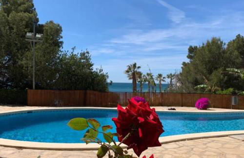 Star of the Sea Miami Playa vacaciones frente al Mar - Foto 26