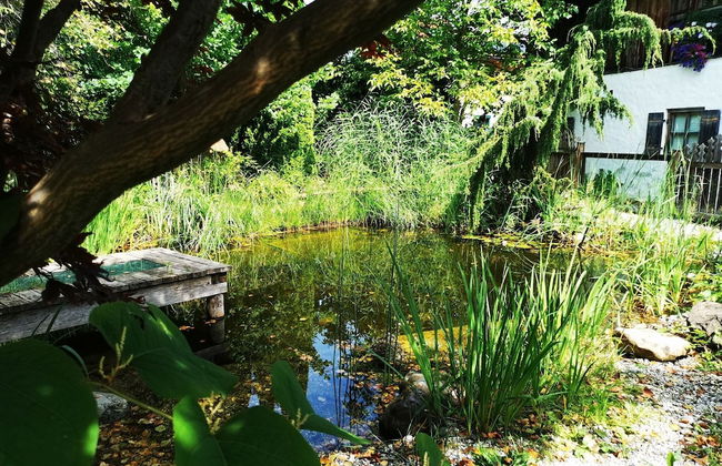 Apartment in Saalfelden Near Ski Slopes - Foto 16