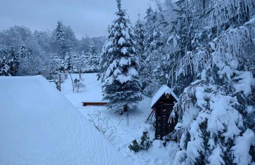 Beskidzka Ostoja - Foto 41