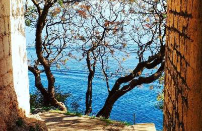 Eden Mediterranean house - Photo 82