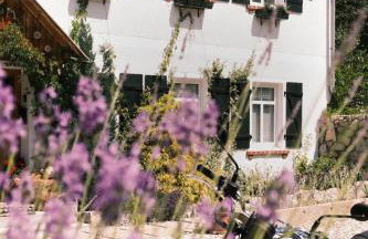 Apartamenty Sudeckie nad zalewem I - Foto 3