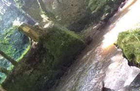 Le Cottage de L Abbaye - Photo 42