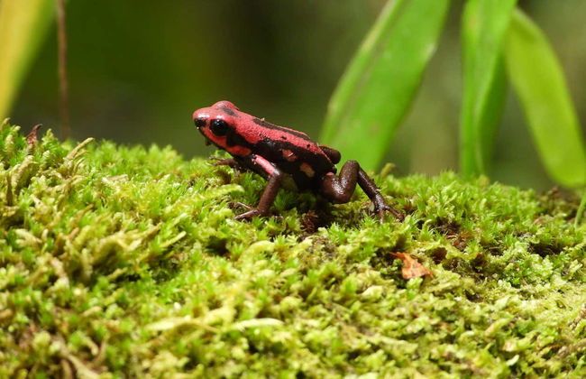 Bird-Watching at Barbas Bremen - Photo 6