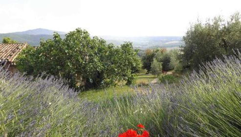 Casa Lorenzo - Foto 4