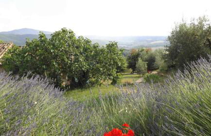 Casa Lorenzo - Foto 4