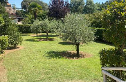 Casetta Santa Fortunata Guest House - Foto 16