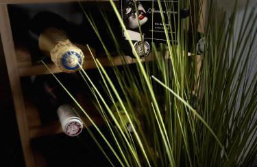 Loveroom Gîte de charme L'Amour en Brenne - Foto 11