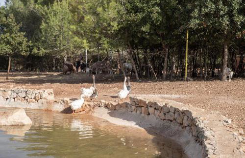 Borgo Del Tempo Ritrovato - Luxury Relais in Puglia - Foto 82