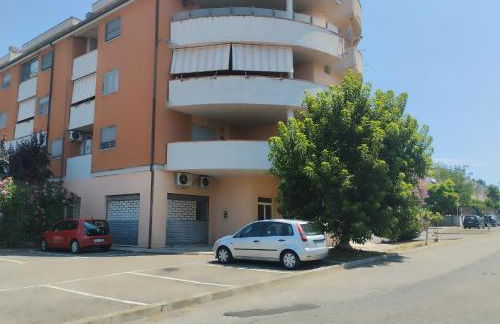 Al Delfino Blu - Foto 13