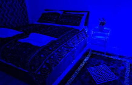 The White House - Photo 11