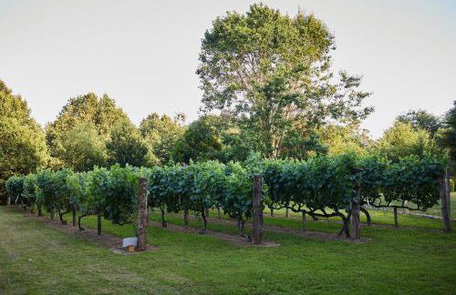 CASA DO COMBRO - Foto 15