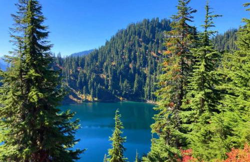 Retro A-Frame Cabin - Hot tub Firepit & Fireplace - Foto 32