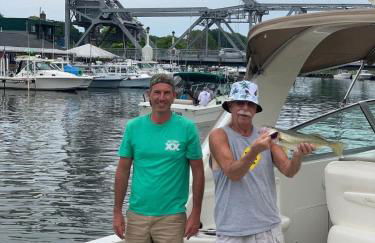 The Sansa Suite at Brants Apple Orchard - Foto 32