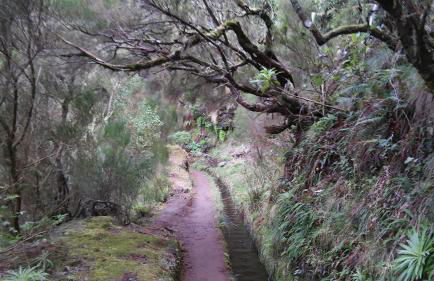 Levada Nova House - Foto 72