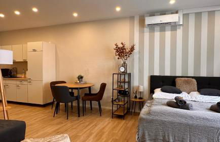 Bellahomes, Aircondition, private Parking, Netflix, Airport 30 Minuten - Foto 14