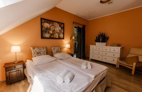 Dom Puchacza w Lądku-Zdroju - Foto 19