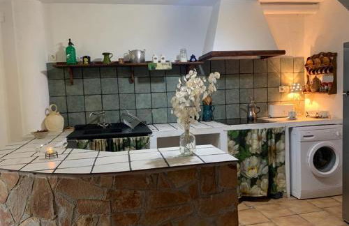 Casa en valle del Tus - Foto 10