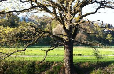 Ferienwohnung J.Weber - Foto 9