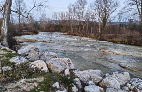 Flor de Lis - Foto 67