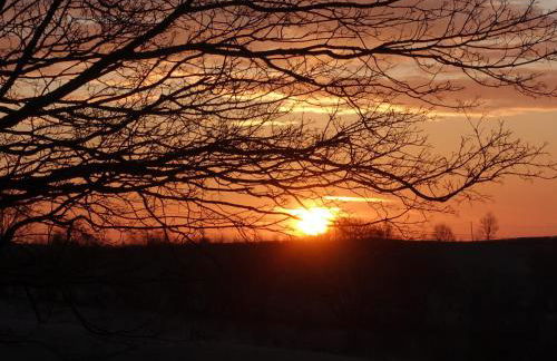 Bryn Y Garreg Cottage - The Wireless Tech Free Farm - Photo 48