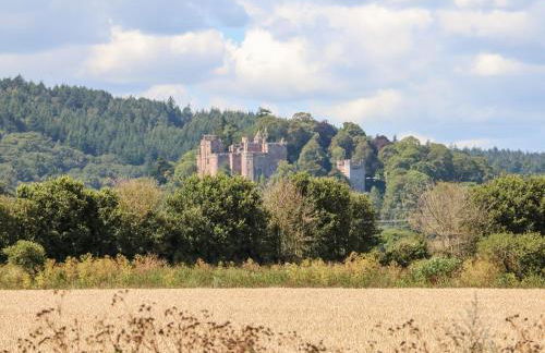 Vine Cottage - Photo 22