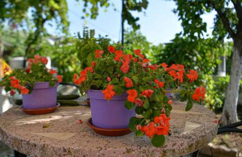 Seaside Villa Alexandra,Acharavi. - Foto 28