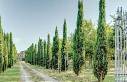 Fattoria Le Giare - Foto 92