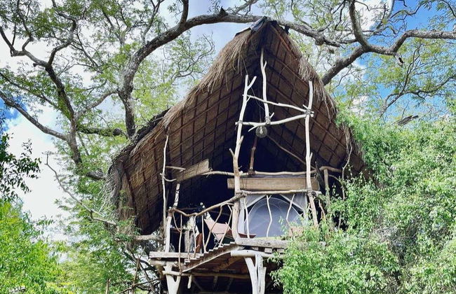 Safari privato nel Parco Nazionale di Wilpattu - Foto 5