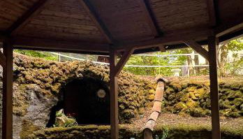 LN ETNA HOUSE-villa ad uso esclusivo - Foto 5