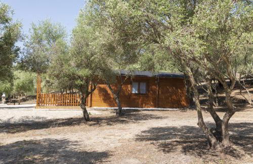 Finca Florida - Foto 6