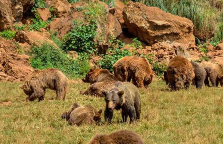 Casita con patio y piscina entre el mar y montañas - Foto 20
