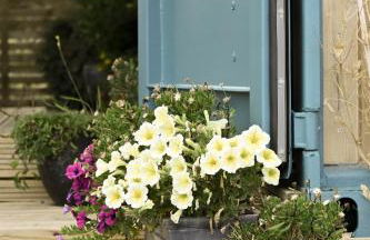 Bluebell Cabin - Foto 17