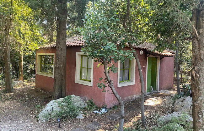 Atelier Bravačić - Foto 17