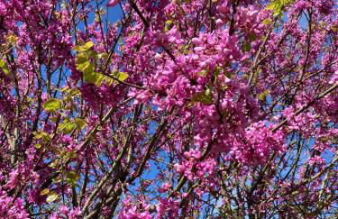 La Forge, Lieu des Chevilloux - Foto 55