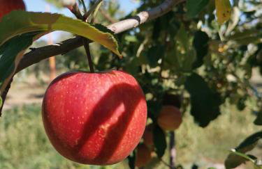 Glamping & Residence IL Villaggio del Re - Foto 46