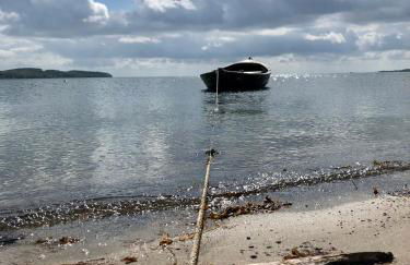 Reethaus Niedlich - Foto 18