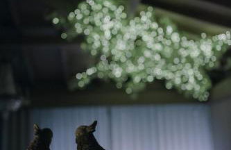 Quinta do Burgo - Nature Hotel - Foto 103