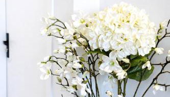 La Villa Blanche Appart hôtel - Foto 3