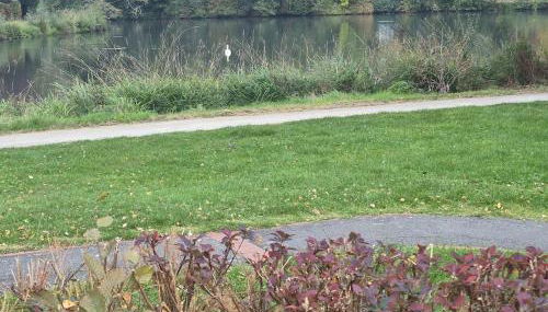 Lakeside house rental - maison bord de lac - Foto 4