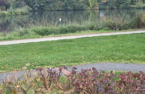 Lakeside house rental - maison bord de lac - Foto 4