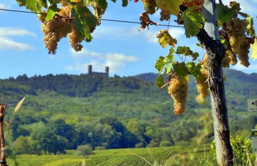 Appartement cosy - Centre de Barr - Route des Vins - Photo 10