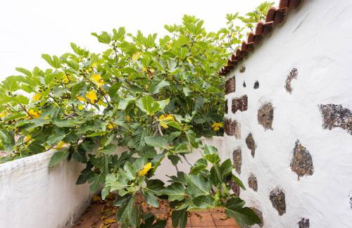 Casa Rural El Naranjero - Foto 25